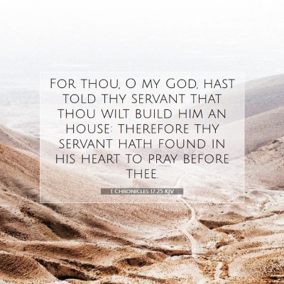 Picture 07 - 1 Chronicles 17:25 KJV - For thou, O my God, hast told thy servant that - Bible Verse Picture