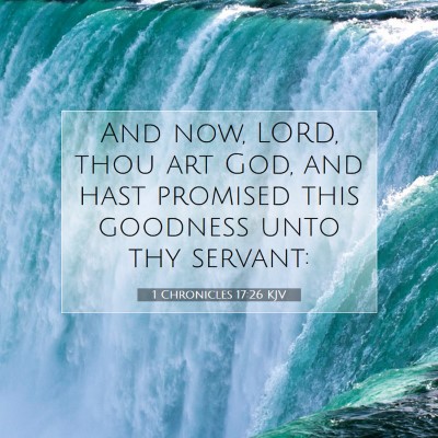 Picture 07 - 1 Chronicles 17:26 KJV - And now, LORD, thou art God, and hast promised - Bible Verse Picture