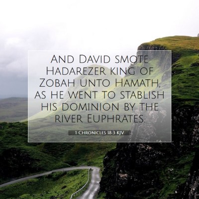 Picture 07 - 1 Chronicles 18:3 KJV - And David smote Hadarezer king of Zobah unto - Bible Verse Picture