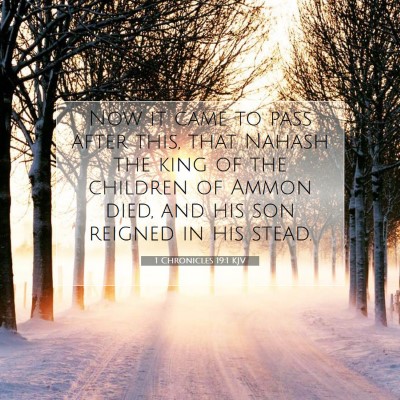 Picture 07 - 1 Chronicles 19:1 KJV - Now it came to pass after this, that Nahash the - Bible Verse Picture