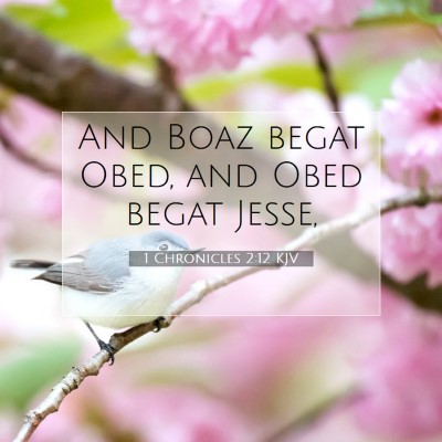 Picture 07 - 1 Chronicles 2:12 KJV - And Boaz begat Obed, and Obed begat - Bible Verse Picture