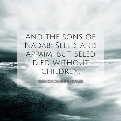 Picture 07 - 1 Chronicles 2:30 KJV - And the sons of Nadab; Seled, and Appaim: but - Bible Verse Picture