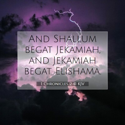Picture 07 - 1 Chronicles 2:41 KJV - And Shallum begat Jekamiah, and Jekamiah begat - Bible Verse Picture