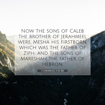 Picture 07 - 1 Chronicles 2:42 KJV - Now the sons of Caleb the brother of Jerahmeel - Bible Verse Picture
