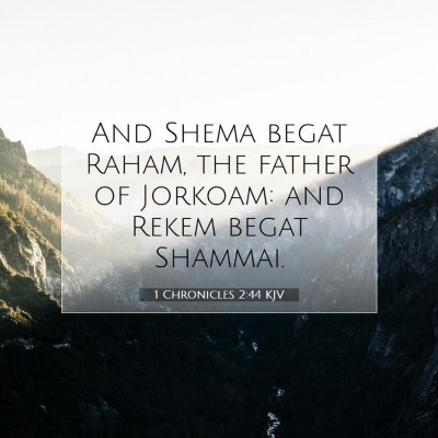 Picture 07 - 1 Chronicles 2:44 KJV - And Shema begat Raham, the father of Jorkoam: and - Bible Verse Picture