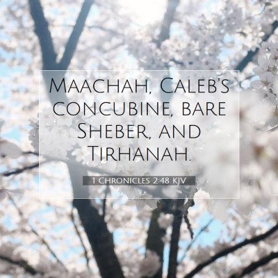 Picture 07 - 1 Chronicles 2:48 KJV - Maachah, Caleb's concubine, bare Sheber, and - Bible Verse Picture
