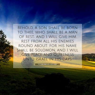 Picture 07 - 1 Chronicles 22:9 KJV - Behold, a son shall be born to thee, who shall be - Bible Verse Picture