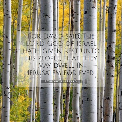 Picture 07 - 1 Chronicles 23:25 KJV - For David said, The LORD God of Israel hath given - Bible Verse Picture