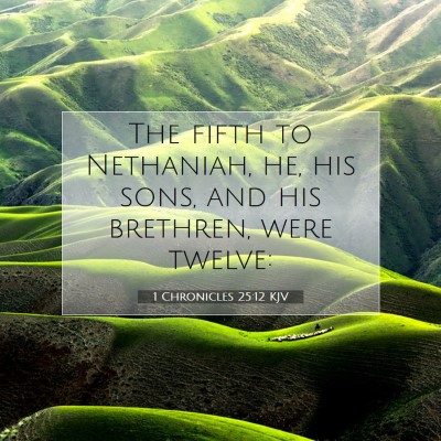 Picture 07 - 1 Chronicles 25:12 KJV - The fifth to Nethaniah, he, his sons, and his - Bible Verse Picture