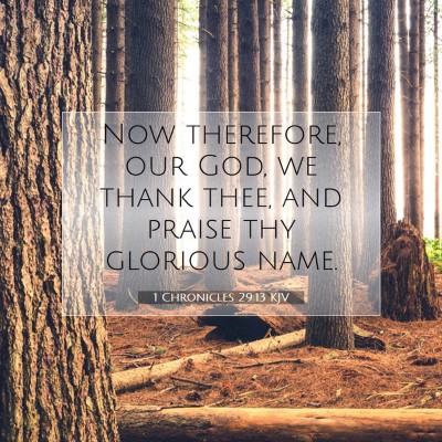 Picture 07 - 1 Chronicles 29:13 KJV - Now therefore, our God, we thank thee, and praise - Bible Verse Picture