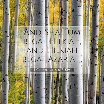 Picture 07 - 1 Chronicles 6:13 KJV - And Shallum begat Hilkiah, and Hilkiah begat - Bible Verse Picture