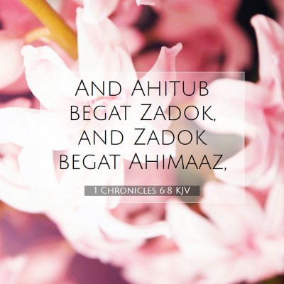 Picture 07 - 1 Chronicles 6:8 KJV - And Ahitub begat Zadok, and Zadok begat - Bible Verse Picture