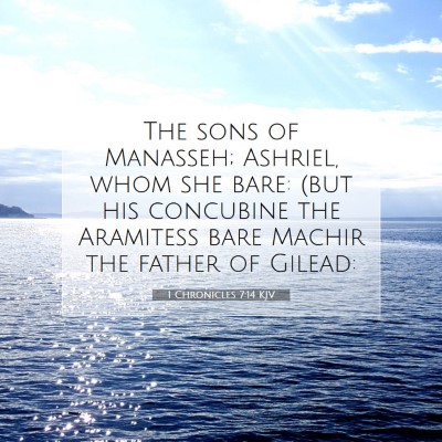 Picture 07 - 1 Chronicles 7:14 KJV - The sons of Manasseh; Ashriel, whom she bare: - Bible Verse Picture