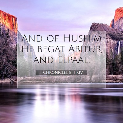 Picture 07 - 1 Chronicles 8:11 KJV - And of Hushim he begat Abitub, and - Bible Verse Picture