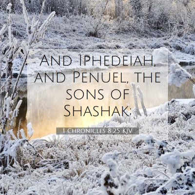 Picture 07 - 1 Chronicles 8:25 KJV - And Iphedeiah, and Penuel, the sons of - Bible Verse Picture