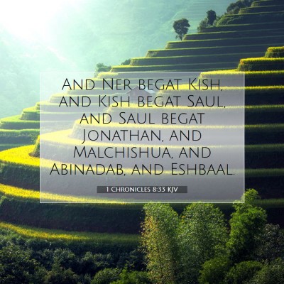 Picture 07 - 1 Chronicles 8:33 KJV - And Ner begat Kish, and Kish begat Saul, and Saul - Bible Verse Picture