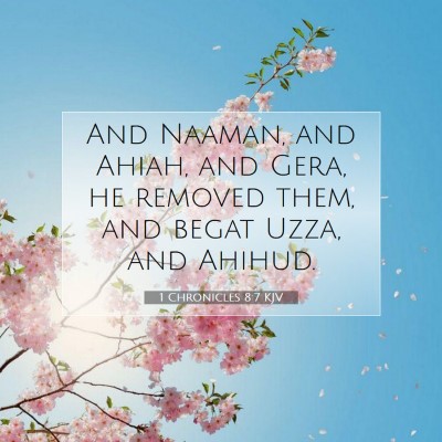 Picture 07 - 1 Chronicles 8:7 KJV - And Naaman, and Ahiah, and Gera, he removed them, - Bible Verse Picture