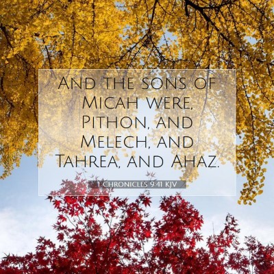 Picture 07 - 1 Chronicles 9:41 KJV - And the sons of Micah were, Pithon, and Melech, - Bible Verse Picture