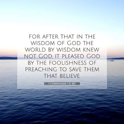 Picture 07 - 1 Corinthians 1:21 KJV - For after that in the wisdom of God the world by - Bible Verse Picture