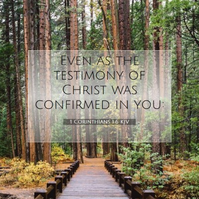 Picture 07 - 1 Corinthians 1:6 KJV - Even as the testimony of Christ was confirmed in - Bible Verse Picture
