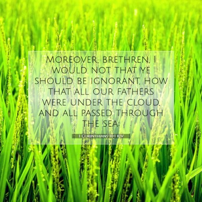 Picture 07 - 1 Corinthians 10:1 KJV - Moreover, brethren, I would not that ye should be - Bible Verse Picture