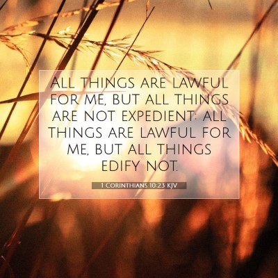 Picture 07 - 1 Corinthians 10:23 KJV - All things are lawful for me, but all things are - Bible Verse Picture
