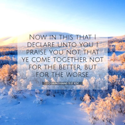 Picture 07 - 1 Corinthians 11:17 KJV - Now in this that I declare unto you I praise you - Bible Verse Picture