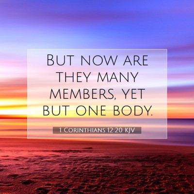 Picture 07 - 1 Corinthians 12:20 KJV - But now are they many members, yet but one - Bible Verse Picture