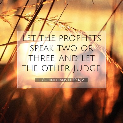 Picture 07 - 1 Corinthians 14:29 KJV - Let the prophets speak two or three, and let the - Bible Verse Picture