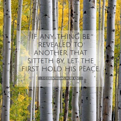 Picture 07 - 1 Corinthians 14:30 KJV - If any thing be revealed to another that sitteth - Bible Verse Picture