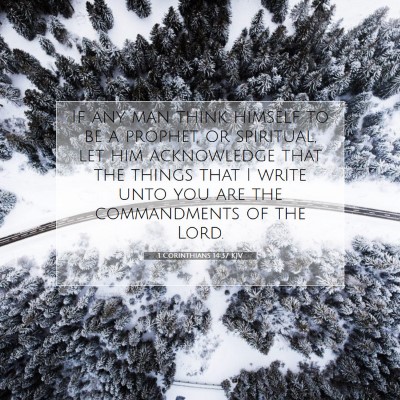 Picture 07 - 1 Corinthians 14:37 KJV - If any man think himself to be a prophet, or - Bible Verse Picture