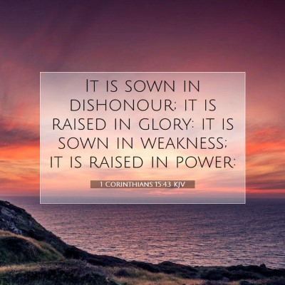 Picture 07 - 1 Corinthians 15:43 KJV - It is sown in dishonour; it is raised in glory: - Bible Verse Picture