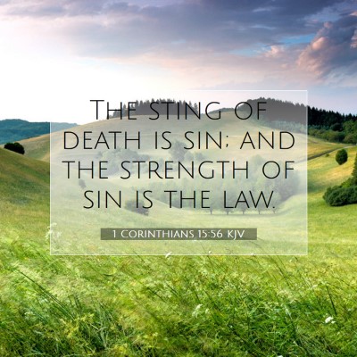 Picture 07 - 1 Corinthians 15:56 KJV - The sting of death is sin; and the strength of - Bible Verse Picture