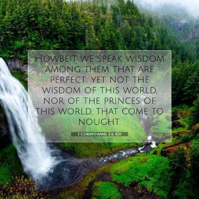 Picture 07 - 1 Corinthians 2:6 KJV - Howbeit we speak wisdom among them that are - Bible Verse Picture