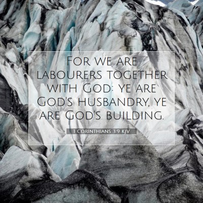 Picture 07 - 1 Corinthians 3:9 KJV - For we are labourers together with God: ye are - Bible Verse Picture