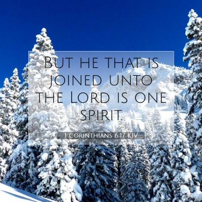 Picture 07 - 1 Corinthians 6:17 KJV - But he that is joined unto the Lord is one - Bible Verse Picture