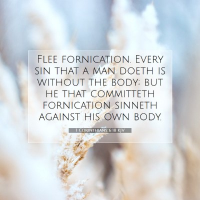Picture 07 - 1 Corinthians 6:18 KJV - Flee fornication. Every sin that a man doeth is - Bible Verse Picture