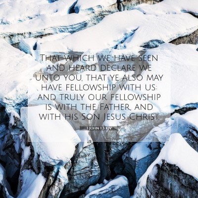 Picture 07 - 1 John 1:3 KJV - That which we have seen and heard declare we unto - Bible Verse Picture