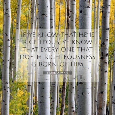Picture 07 - 1 John 2:29 KJV - If ye know that he is righteous, ye know that - Bible Verse Picture