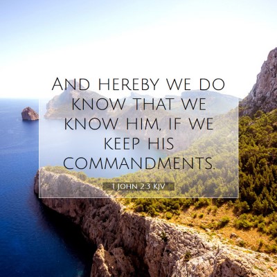 Picture 07 - 1 John 2:3 KJV - And hereby we do know that we know him, if we - Bible Verse Picture