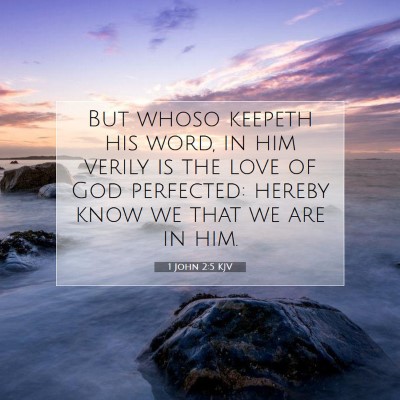 Picture 07 - 1 John 2:5 KJV - But whoso keepeth his word, in him verily is the - Bible Verse Picture