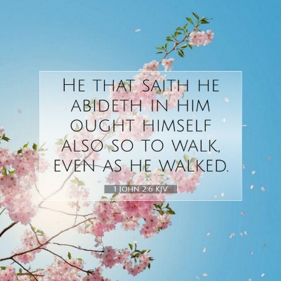 Picture 07 - 1 John 2:6 KJV - He that saith he abideth in him ought himself - Bible Verse Picture