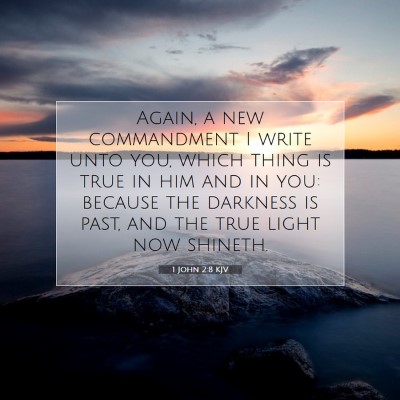 Picture 07 - 1 John 2:8 KJV - Again, a new commandment I write unto you, which - Bible Verse Picture