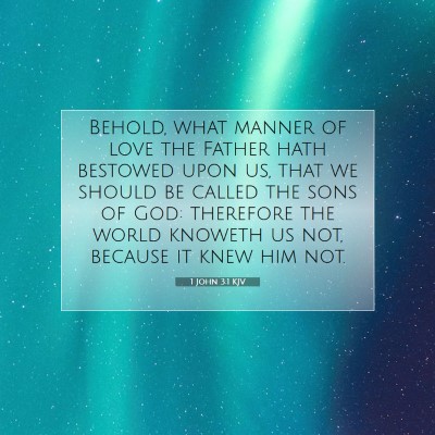 Picture 07 - 1 John 3:1 KJV - Behold, what manner of love the Father hath - Bible Verse Picture