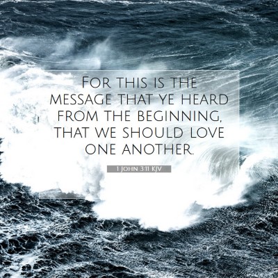 Picture 07 - 1 John 3:11 KJV - For this is the message that ye heard from the - Bible Verse Picture