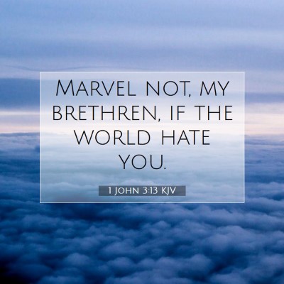 Picture 07 - 1 John 3:13 KJV - Marvel not, my brethren, if the world hate - Bible Verse Picture
