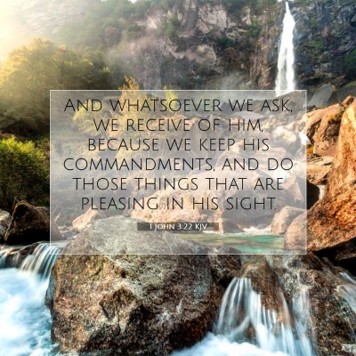 Picture 07 - 1 John 3:22 KJV - And whatsoever we ask, we receive of him, because - Bible Verse Picture