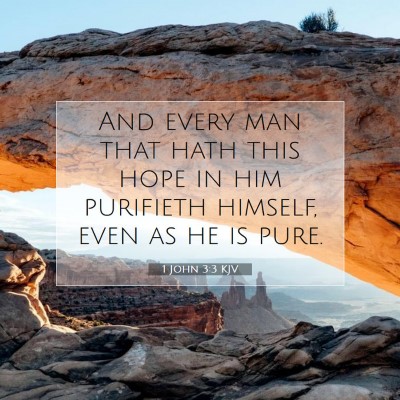 Picture 07 - 1 John 3:3 KJV - And every man that hath this hope in him - Bible Verse Picture