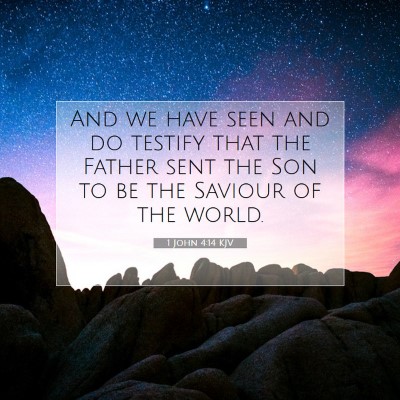 Picture 07 - 1 John 4:14 KJV - And we have seen and do testify that the Father - Bible Verse Picture