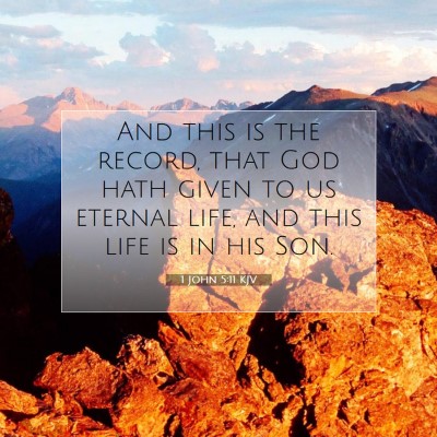 Picture 07 - 1 John 5:11 KJV - And this is the record, that God hath given to us - Bible Verse Picture